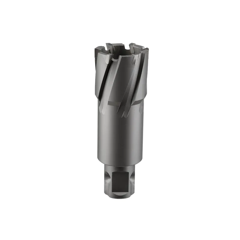 Сверло корончатое твердосплавное ALTECO TCT 14х50